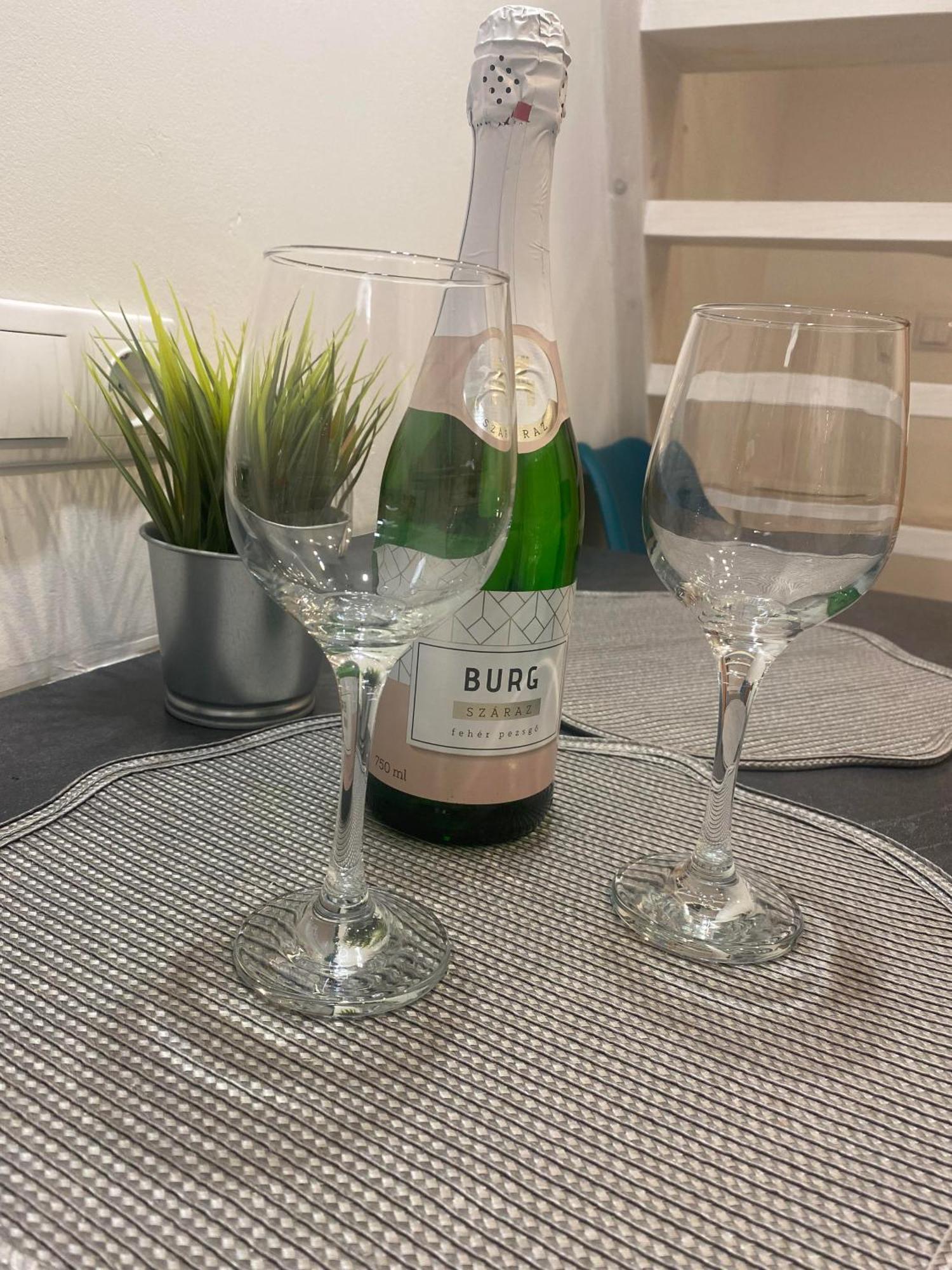 Downtown Mini Apartment Budapest Ngoại thất bức ảnh